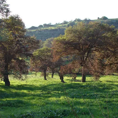 Sa Chessa Bed and breakfast