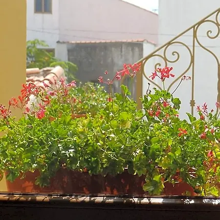 Bed & Breakfast Sa Chessa 3*