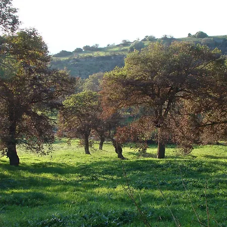 Sa Chessa